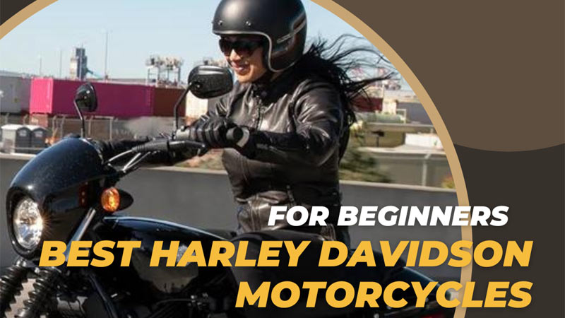 standard motorcycles for beginners