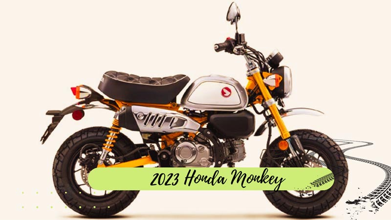 2023 Honda Monkey Featured