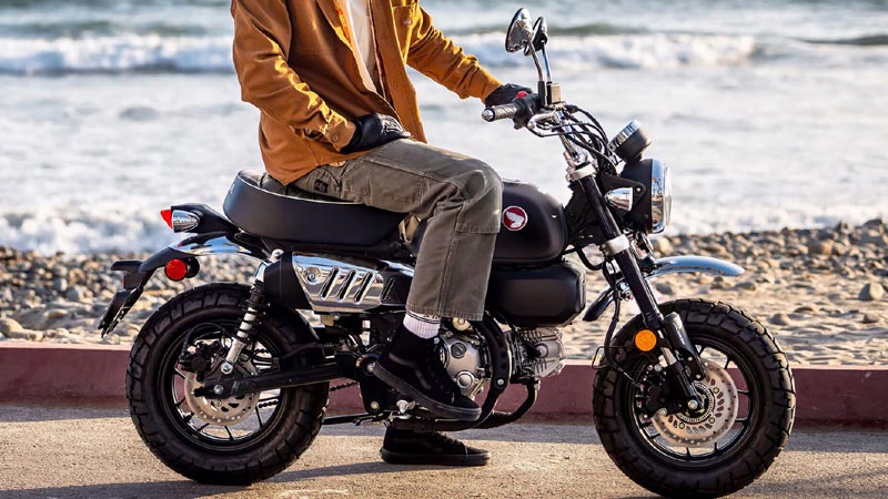 2026 Honda Monkey Pic